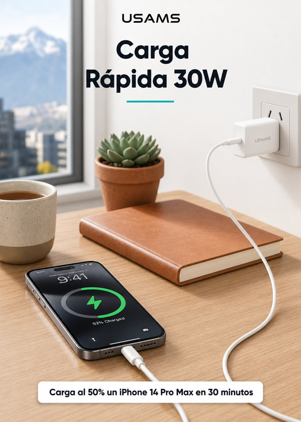 Cable USB Tipo C a Lightning 30W 1 Metro SJ712 11