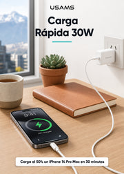 Cable USB Tipo C a Lightning 30W 1 Metro SJ712 11