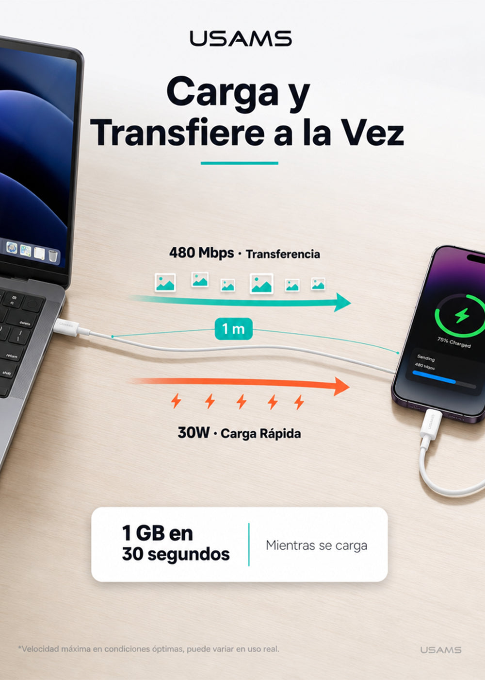 Cable USB Tipo C a Lightning 30W 1 Metro SJ712 6
